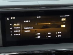 Hongqi Golden Sunflower Guoyao 2022 4.0T Monarch Flagship Edition 4 seats - фото 16