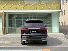 Hongqi Golden Sunflower Guoyao 2022 4.0T Monarch Flagship Edition 4 seats - фото 4