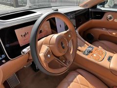 S9 S800 EV Deluxe Edition 5 (192) - фото 11
