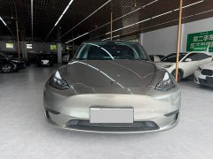 Tesla Model Y Edition - фото 3