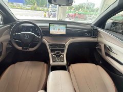 BYD Pro Edition DM-i 71KM Version - фото 10