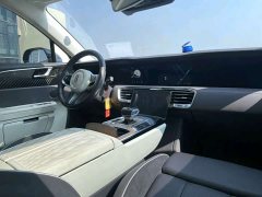 Hongqi E-HS9 460km Edition - фото 8