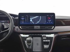 Hongqi HQ9 2.0T Edition - фото 12