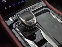 Hongqi H5 2.0T Edition - фото 16