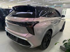 Hongqi HS3 PHEV 125km PLUS 200Anniversary Edition - фото 5