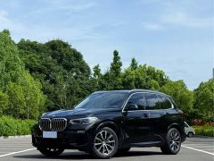 BMW X5 xDrive40i M - фото 1