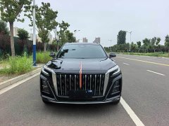 Hongqi HS3 PHEV 115km Edition - фото 1