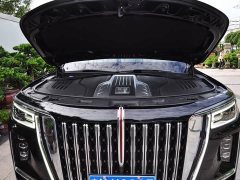 FAW 4.0T Flagship Edition 4 - фото 17