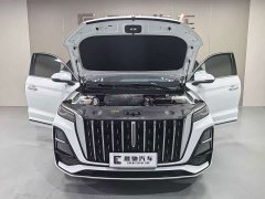 Hongqi HS5 2.0T Pro Edition - фото 15