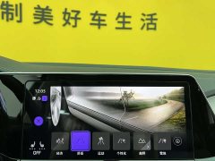 Lanjing 2023 facelift 380TSI four-wheel drive luxury Jiajing Edition Pro 6 seats - фото 20