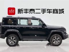 Tank 300 2021 City Edition 2.0T Very Stylish - фото 3