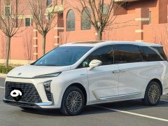 Buick GL8 New Energy Lu Zun Smart Edition - фото 1