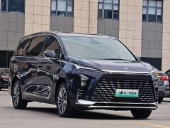 Buick GL8 New Energy 2026 Lu Zun Smart Edition - фото 3