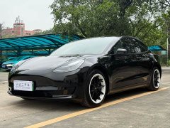 Tesla Model 3 Standard Range Rear Drive Upgraded Version - фото 1