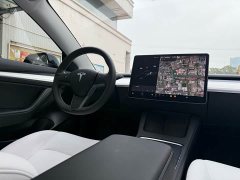 Tesla Model 3 Standard Range Rear Drive Upgraded Version - фото 10