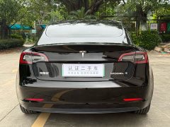 Tesla Model 3 Standard Range Rear Drive Upgraded Version - фото 16