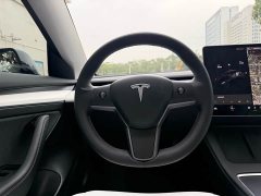 Tesla Model 3 Standard Range Rear Drive Upgraded Version - фото 9