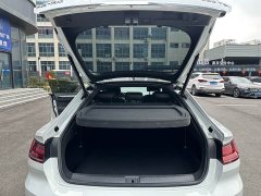 FAW-Volkswagen CC 380TSI eye-catching version - фото 14
