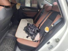 PLUS NE 1.4T GDI DCTPremium Edition - фото 13
