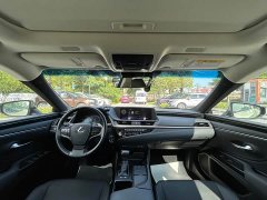 Lexus ES 300h Premium Edition - фото 18