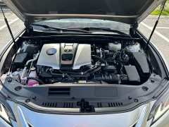 Lexus ES 300h Premium Edition - фото 7