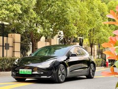 Tesla Model 3 2022 rear-wheel drive version - фото 1