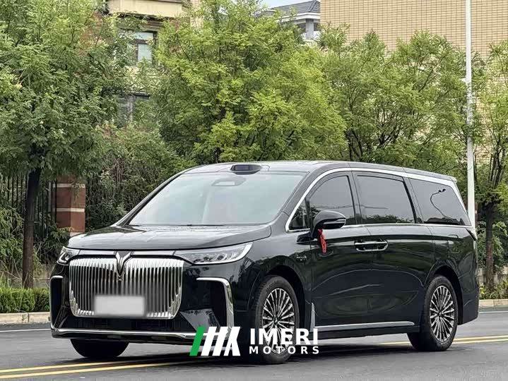 Voyah PHEV Pro