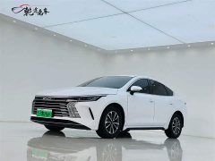 BYD Destroyer 05 Honor Edition DM-i 55KM Luxury Type - фото 1