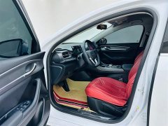 BYD Destroyer 05 Honor Edition DM-i 55KM Luxury Type - фото 13