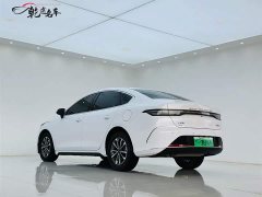 BYD Destroyer 05 Honor Edition DM-i 55KM Luxury Type - фото 5