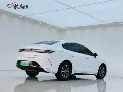 BYD Destroyer 05 Honor Edition DM-i 55KM Luxury Type - фото 7