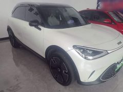 smart#1 Luxury Edition - фото 1