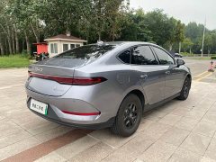 BYD PLUS DM-i Smart Drive Edition 55KM Version - фото 4