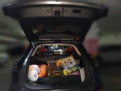 Changan CS55PLUS 1.5T DCT Version - фото 10