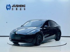 Tesla Model Y Standard Range Edition - фото 1