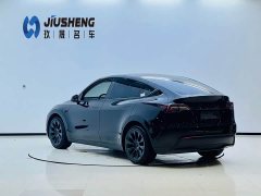 Tesla Model Y Standard Range Edition - фото 4
