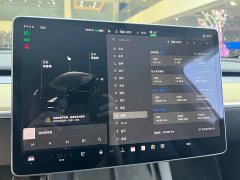 Tesla Model Y Standard Range Edition - фото 8