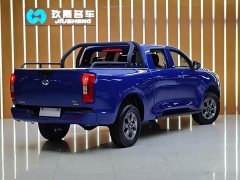 2.0T Edition2WD VersionGW4C20B - фото 9
