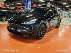 Tesla Model Y Long Range Edition - фото 1