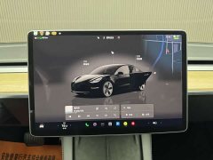 Tesla Model 3 Edition - фото 7