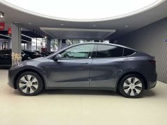 Tesla Model Y Edition - фото 10