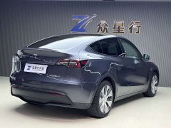 Tesla Model Y Edition - фото 12