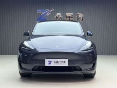 Tesla Model Y Edition - фото 2