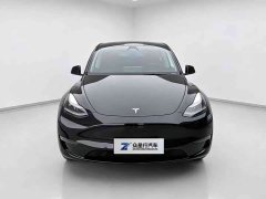 Tesla Model Y Standard Range Edition - фото 2