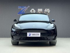 Tesla Model Y Edition - фото 2