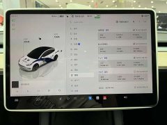 Tesla Model 3 Edition - фото 18