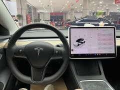 Tesla Model 3 Edition - фото 19