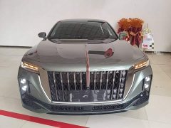 Hongqi H9 2.0T Edition - фото 3