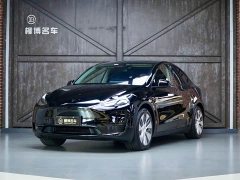 Tesla Model Y Edition - фото 1