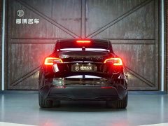 Tesla Model Y Edition - фото 20
